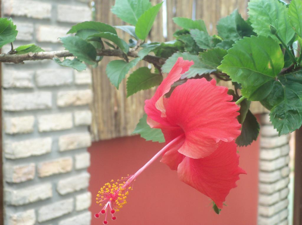 Pousada Curva Do Sol 상 미구엘 도 고스토조 외부 사진
